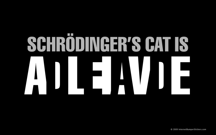 schrondinger's cat